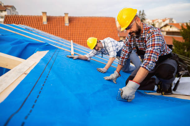 Best Roof Gutter Cleaning  in Maple Heights Lake Desire, WA