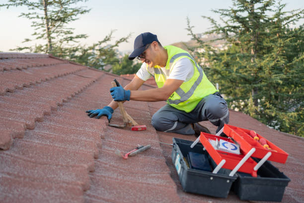 Best Shingle Roofing Installation  in Maple Heights Lake Desire, WA